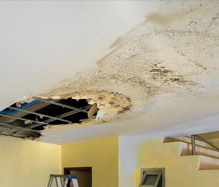 About Us Ceiling Water Damage